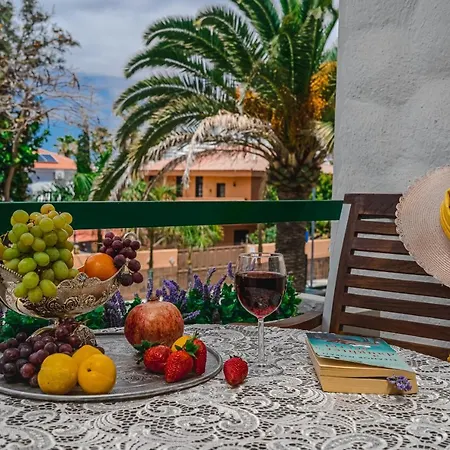 Apartment Cozy - 150 Meters From The Beach, Free Wi-fi Playa de las Américas